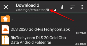 DLS 2020 Gold Edition Installation